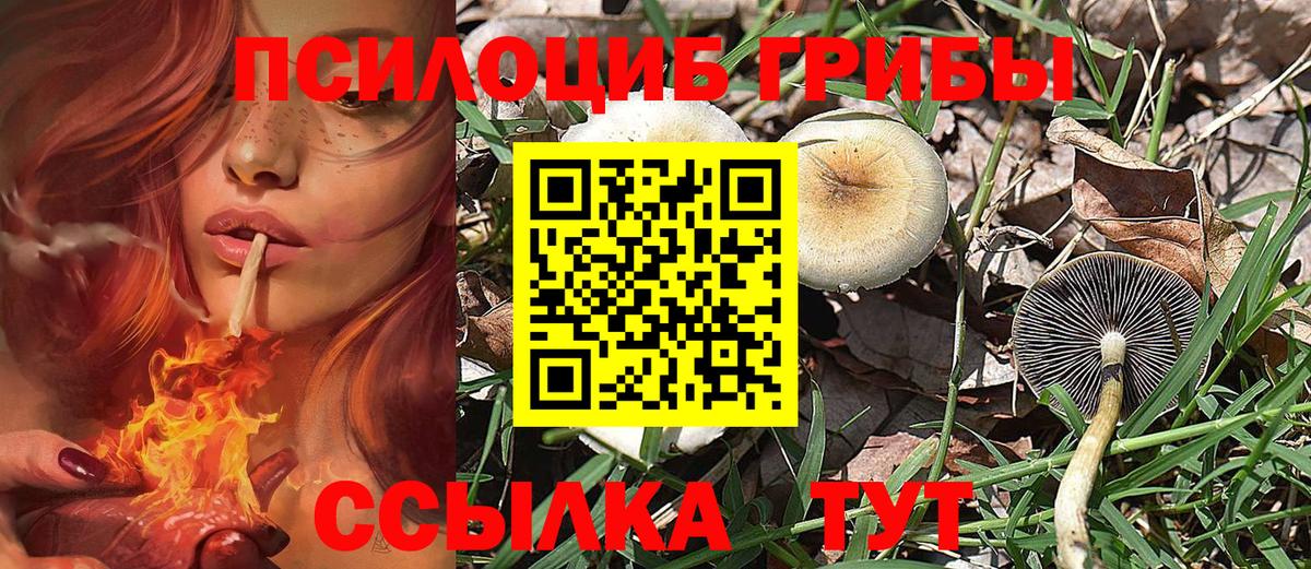 Псилоцибиновые грибы ЛСД  Вход с VPN  Галлюциногенные грибы Psilocybe  Нарткала 